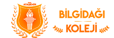 Bilgidağı Koleji Logo